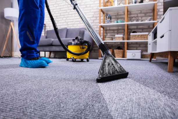 Choosing the Best Carpet Cleaning Company in Cleveland OH