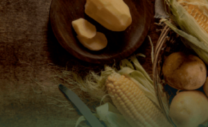 Corn Starch in India | Careers & Culture at Bluecraft Agro